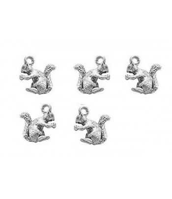 Squirrel Charms