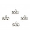 2010 15x10mm Year Pewter Charms