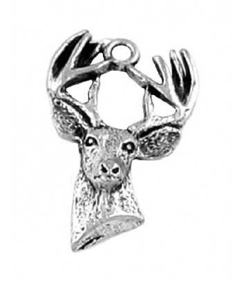 Antler Deer Stag