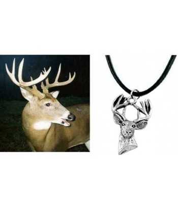 Antler Deer Stag pics